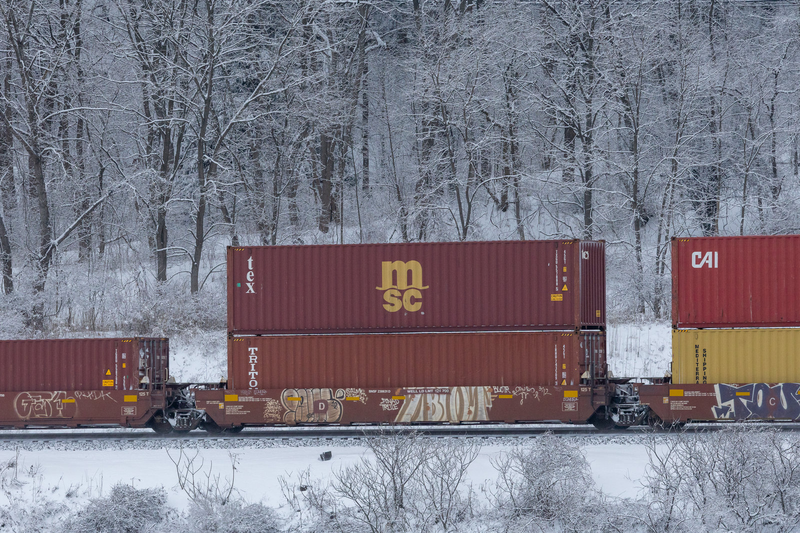 BNSF 238631D