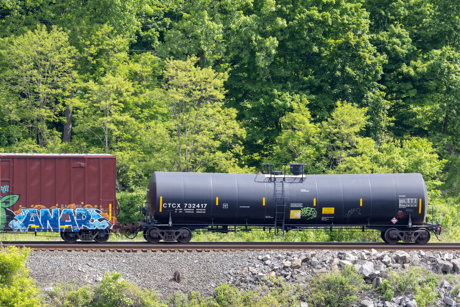 CTCX 732417