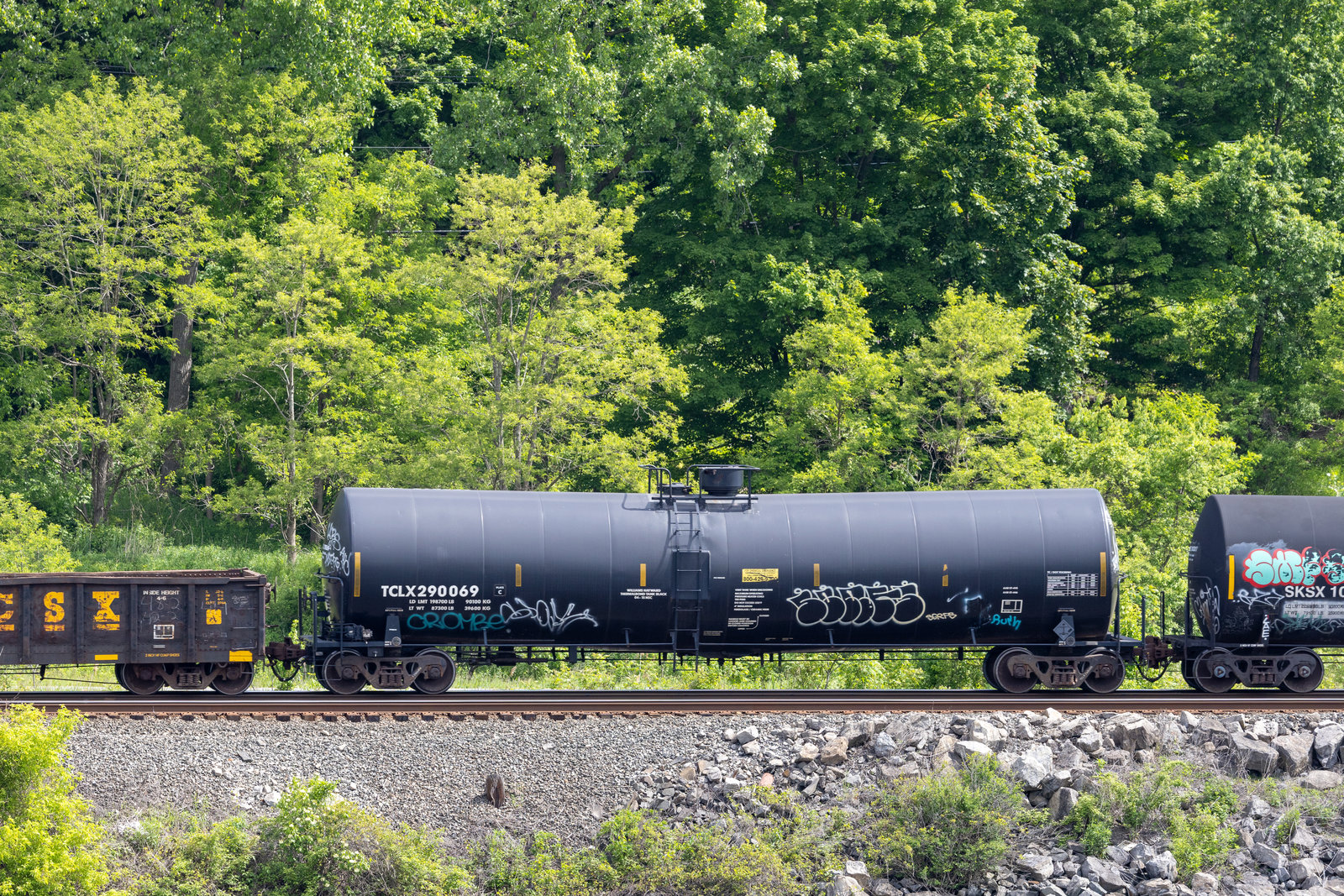 TCLX 290069