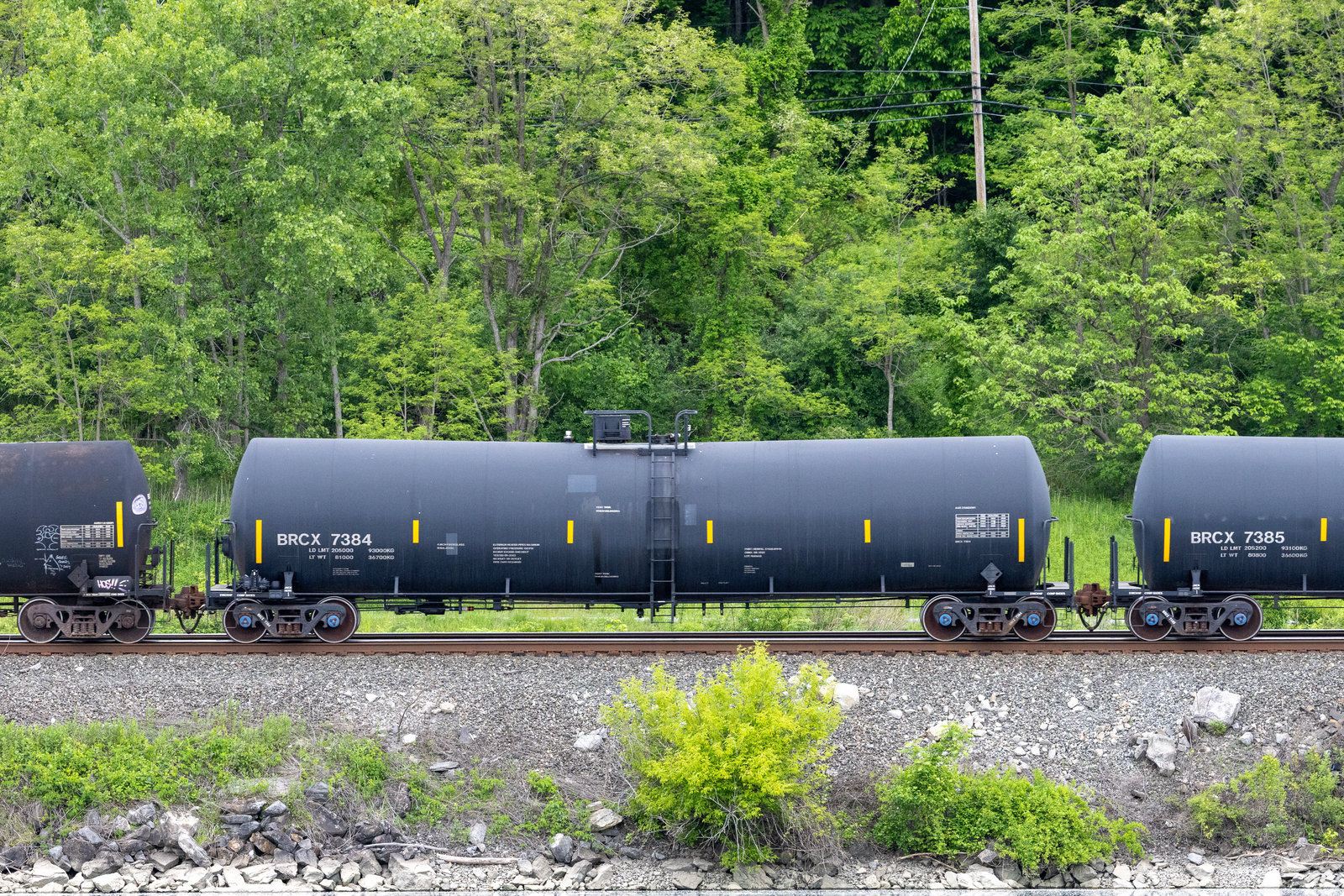 BRCX 7384