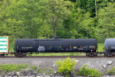 CGTX 65362