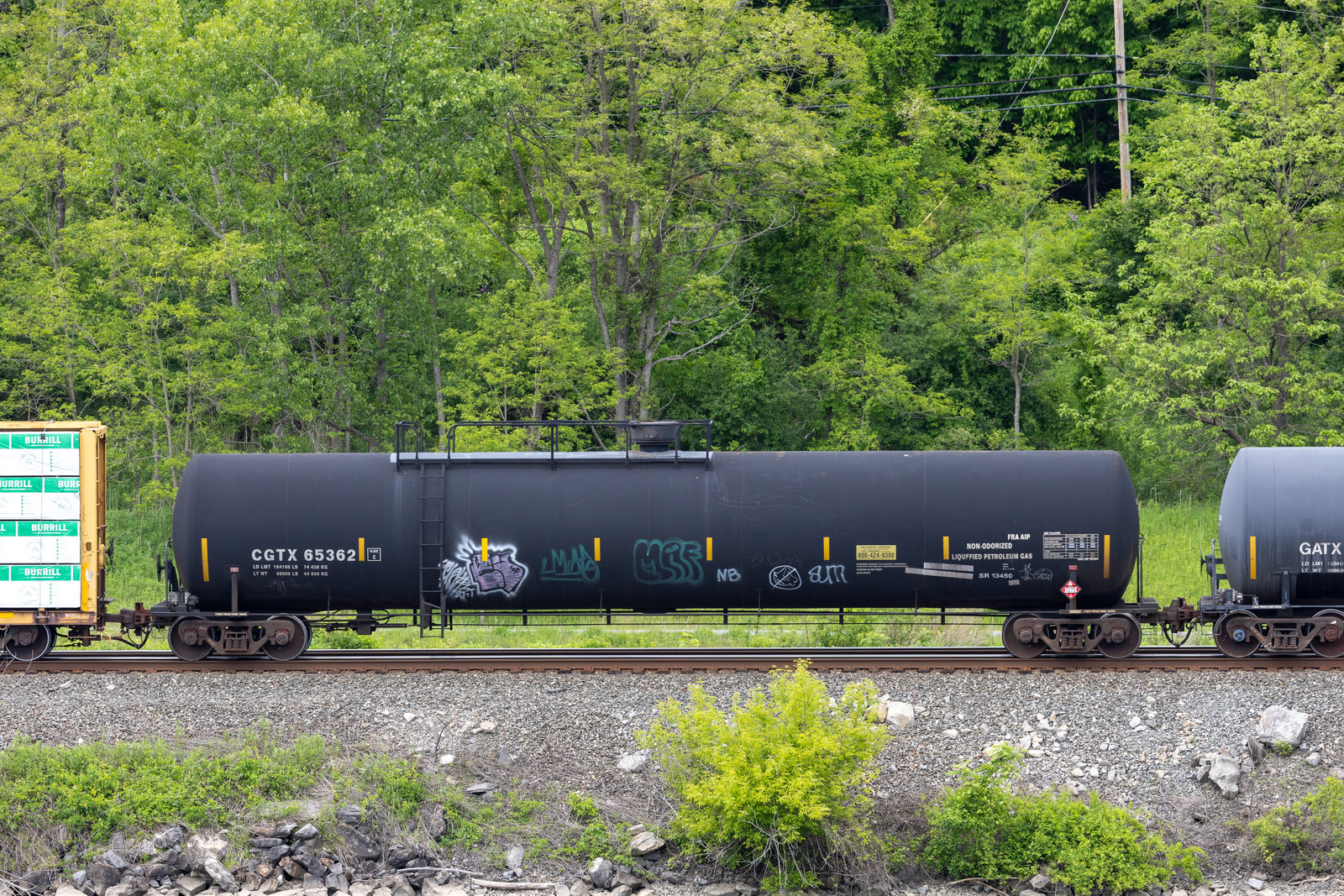 CGTX 65362