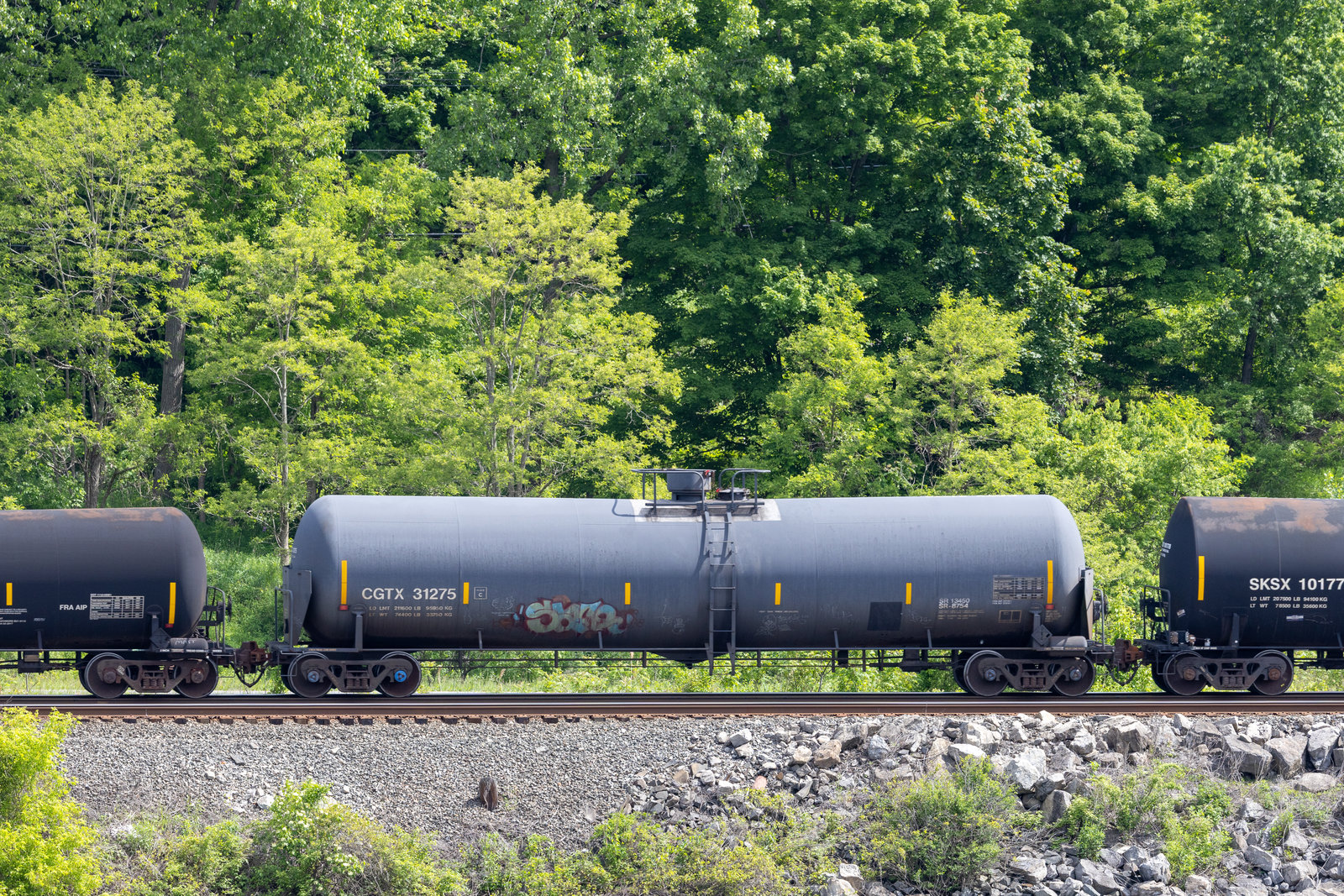 CGTX 31275
