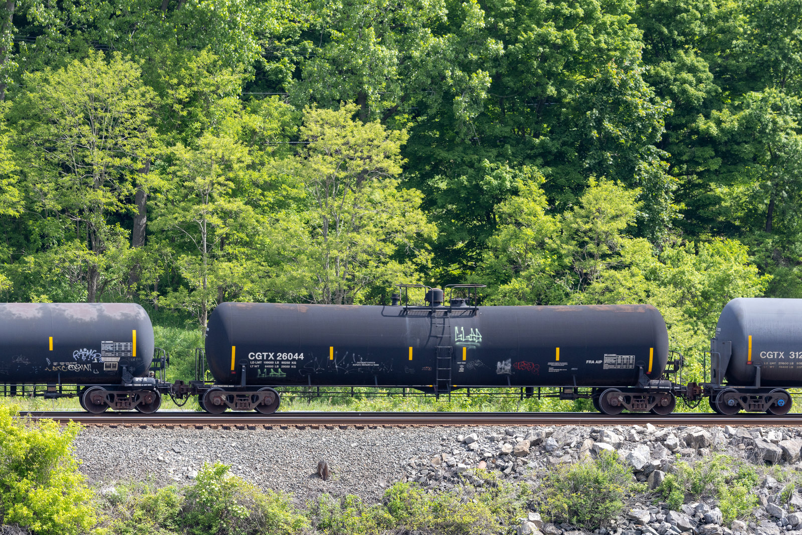 CGTX 26044