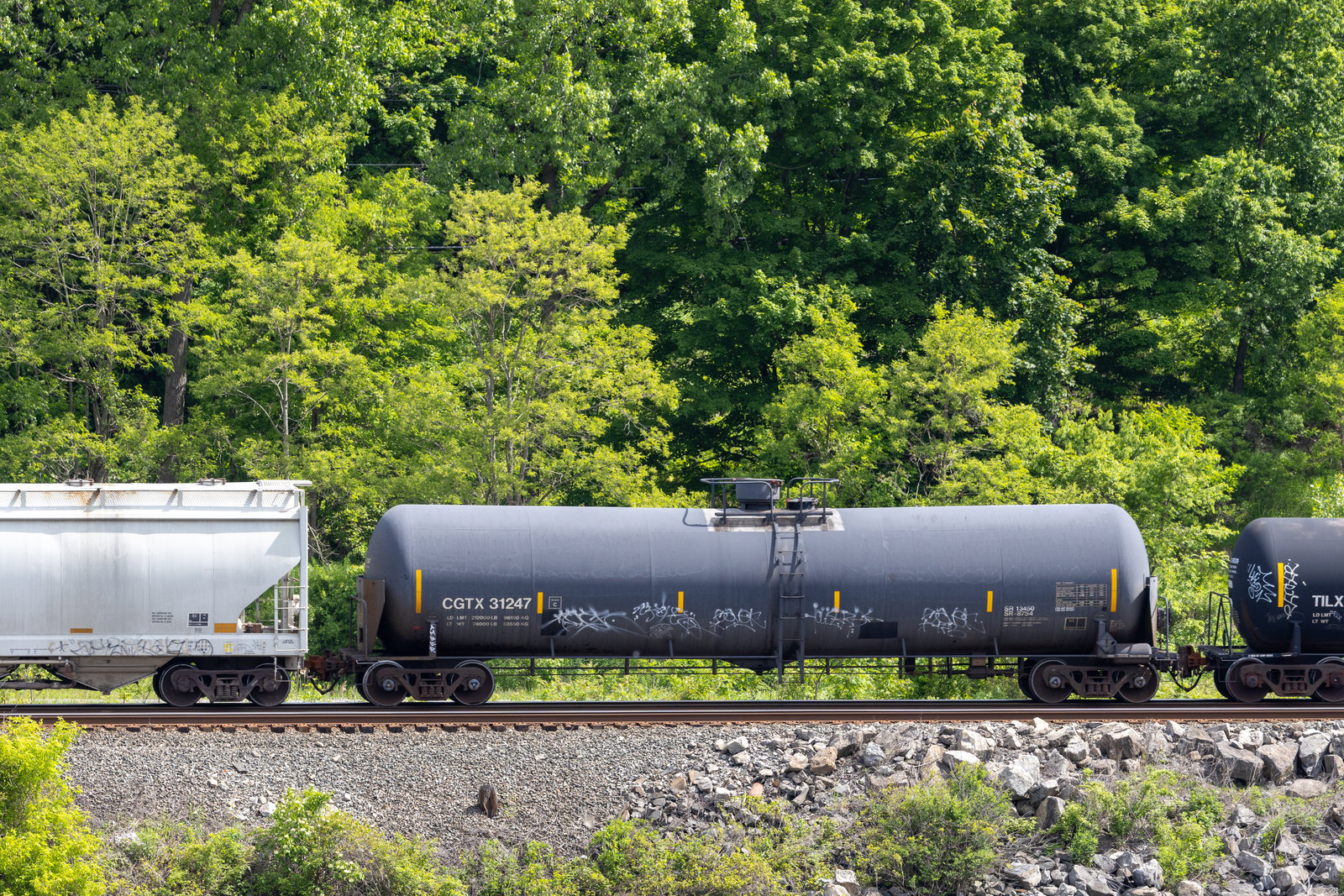 CGTX 31247