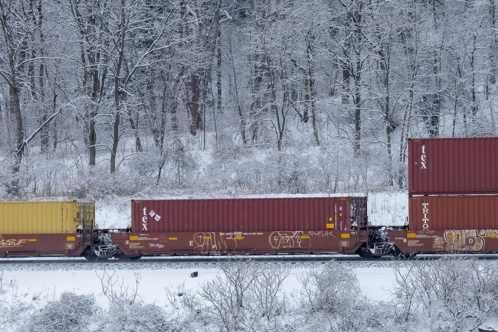 BNSF 238631E