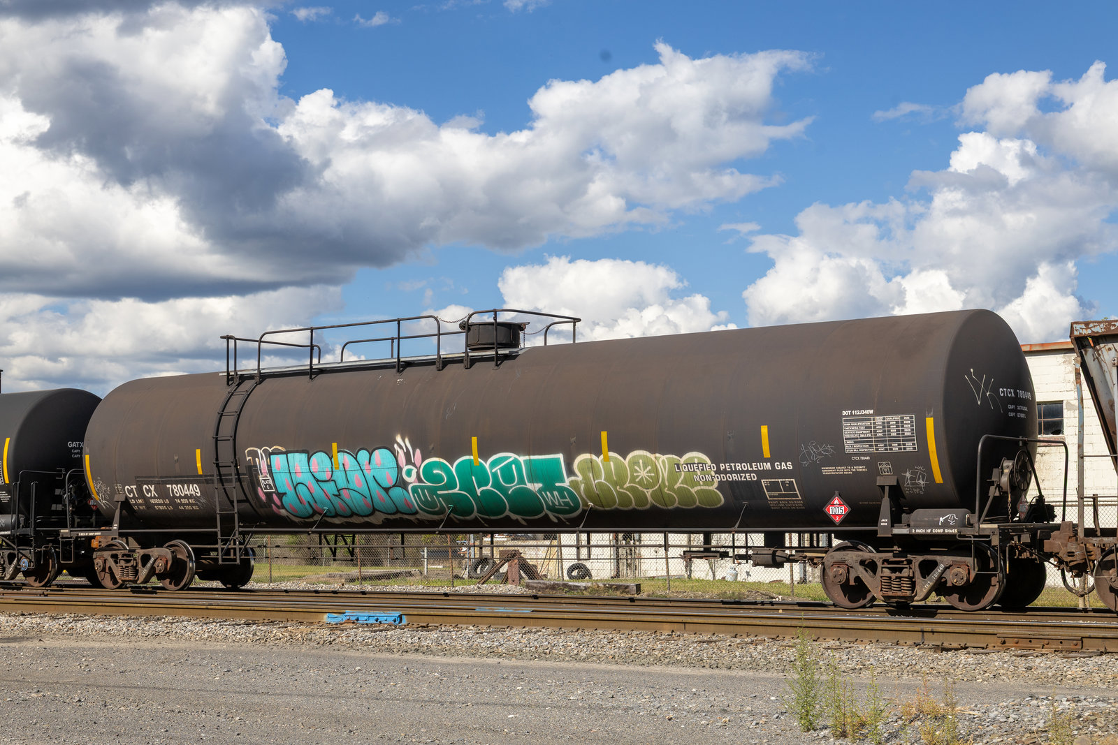 CTCX 780449