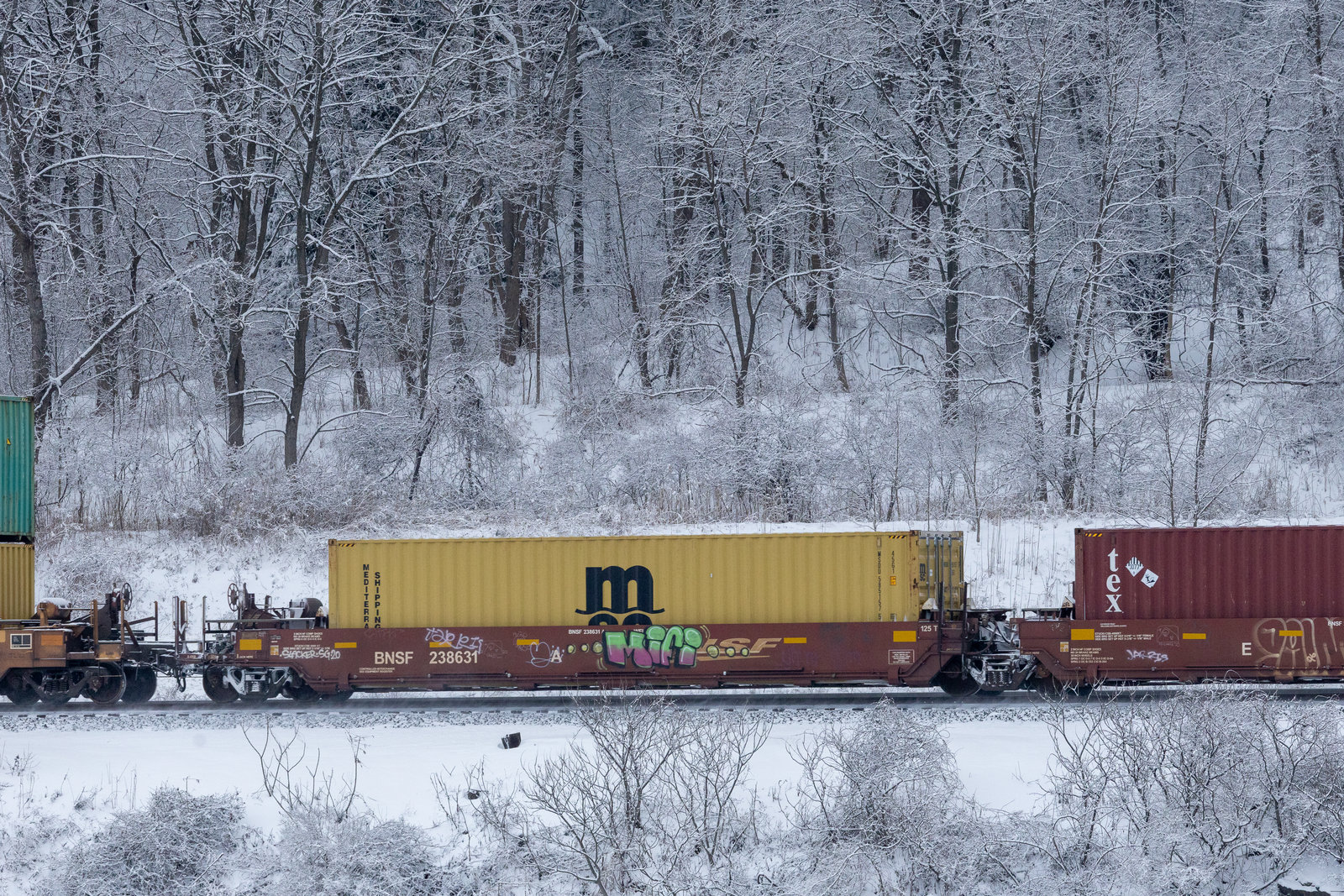 BNSF 238631A