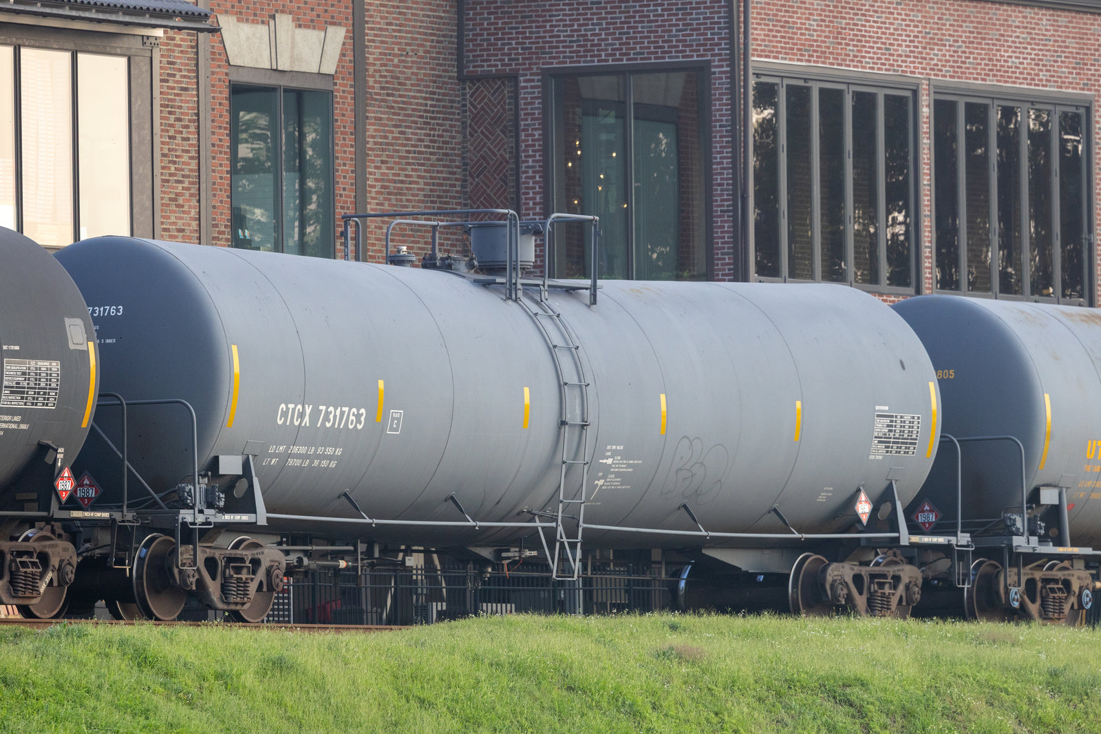 CTCX 731763