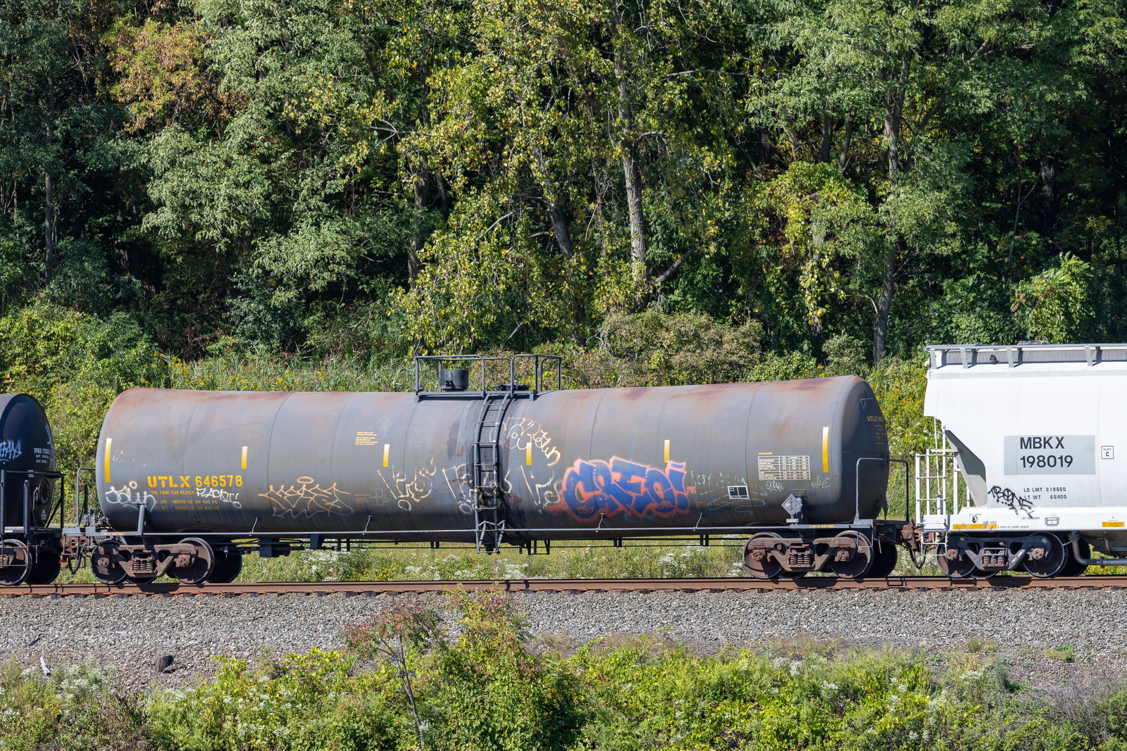 UTLX 646578