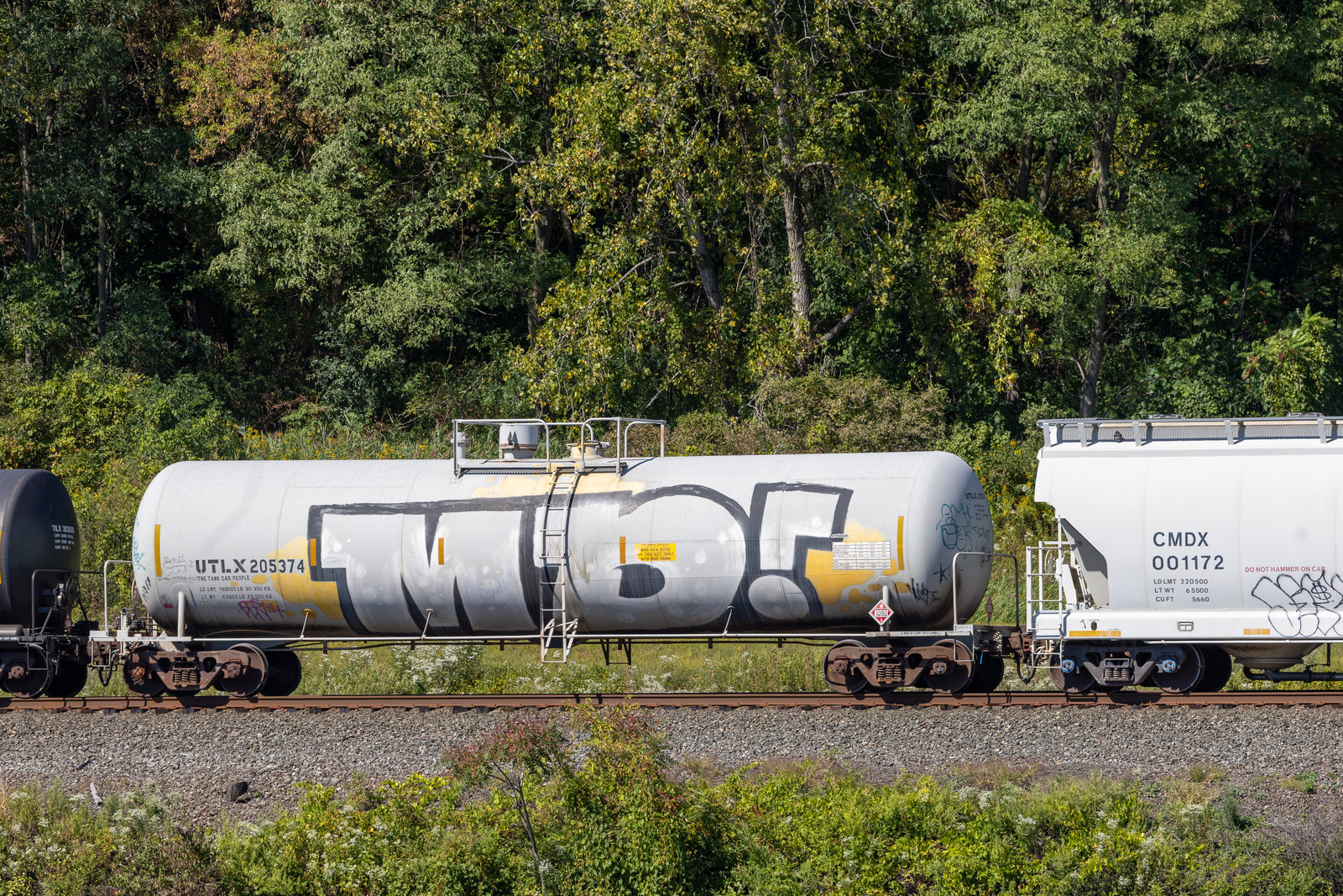 UTLX 205374
