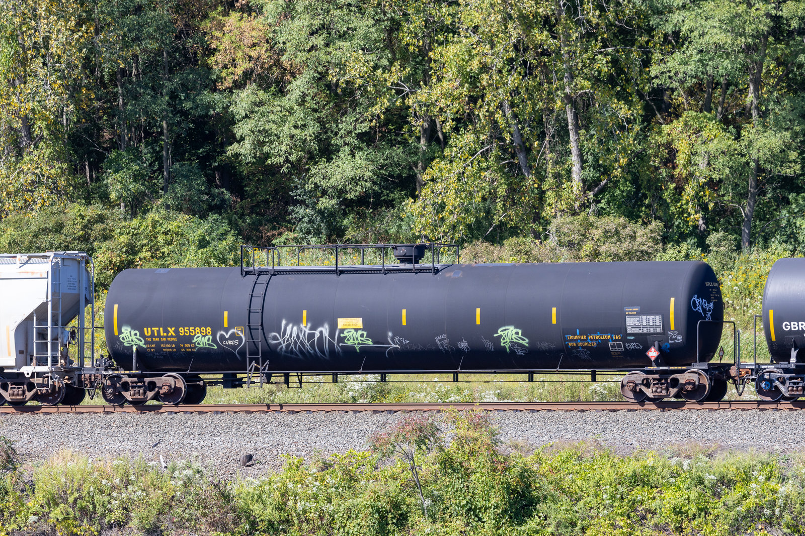 UTLX 955898