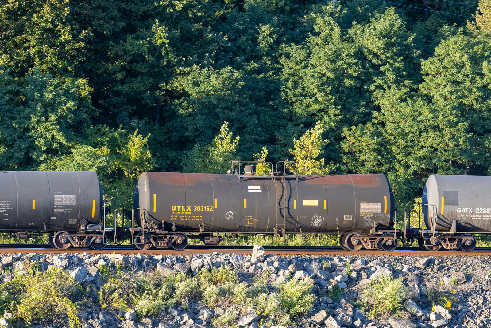 UTLX 303162