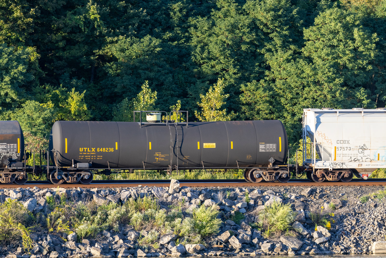 UTLX 648236