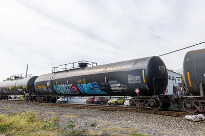 UTLX 956302
