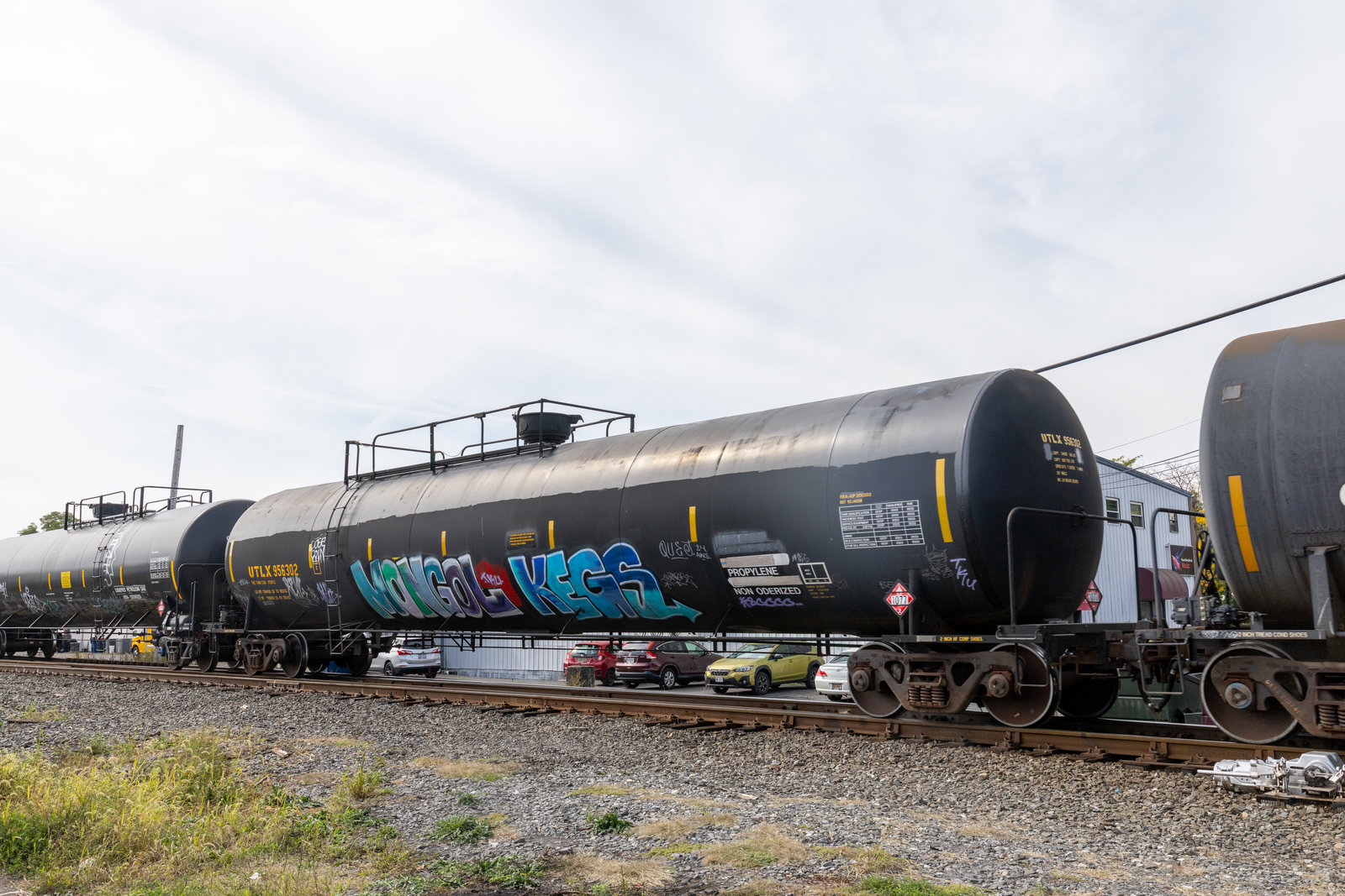 UTLX 956302