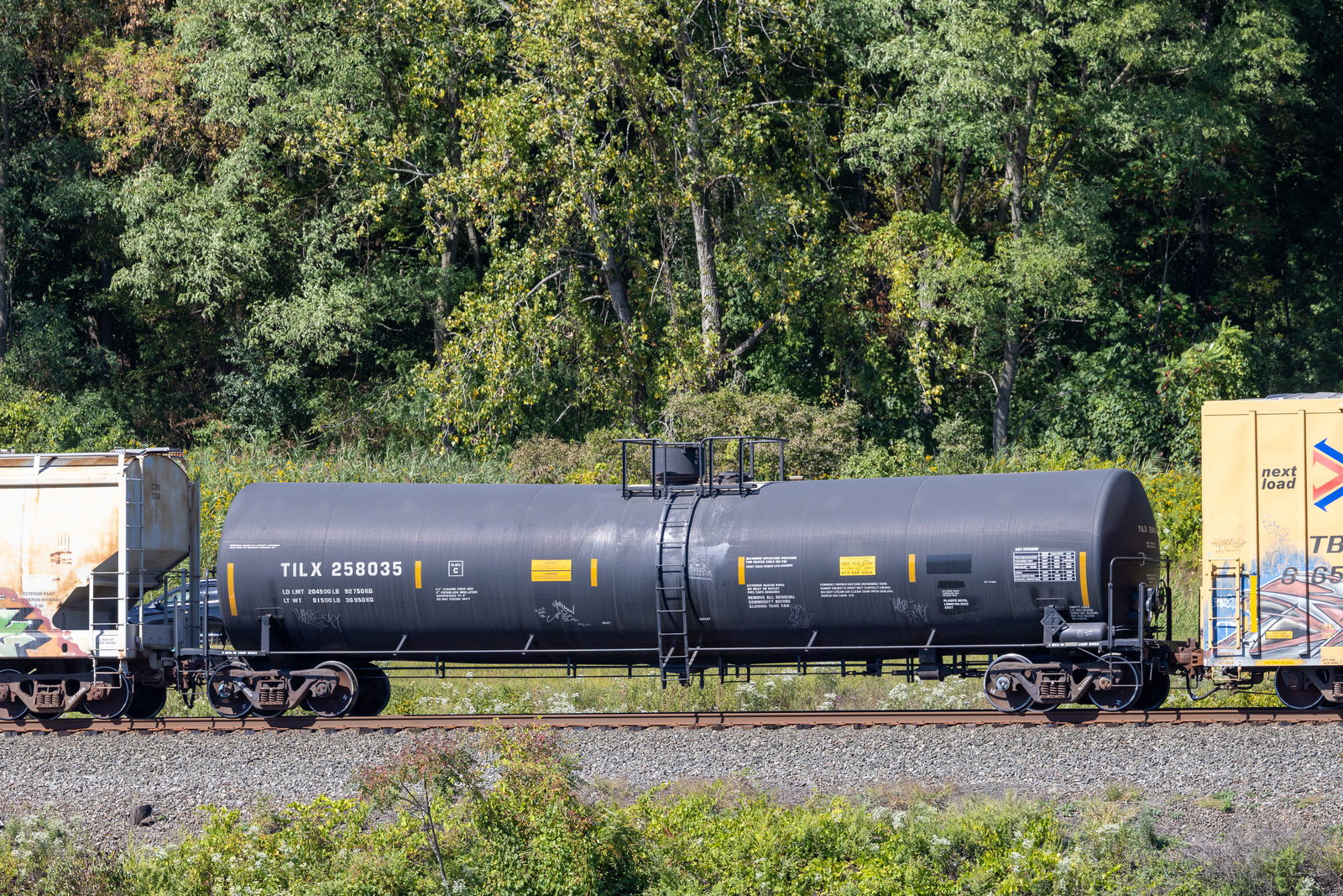 TILX 258035