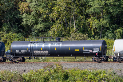 TILX 306196