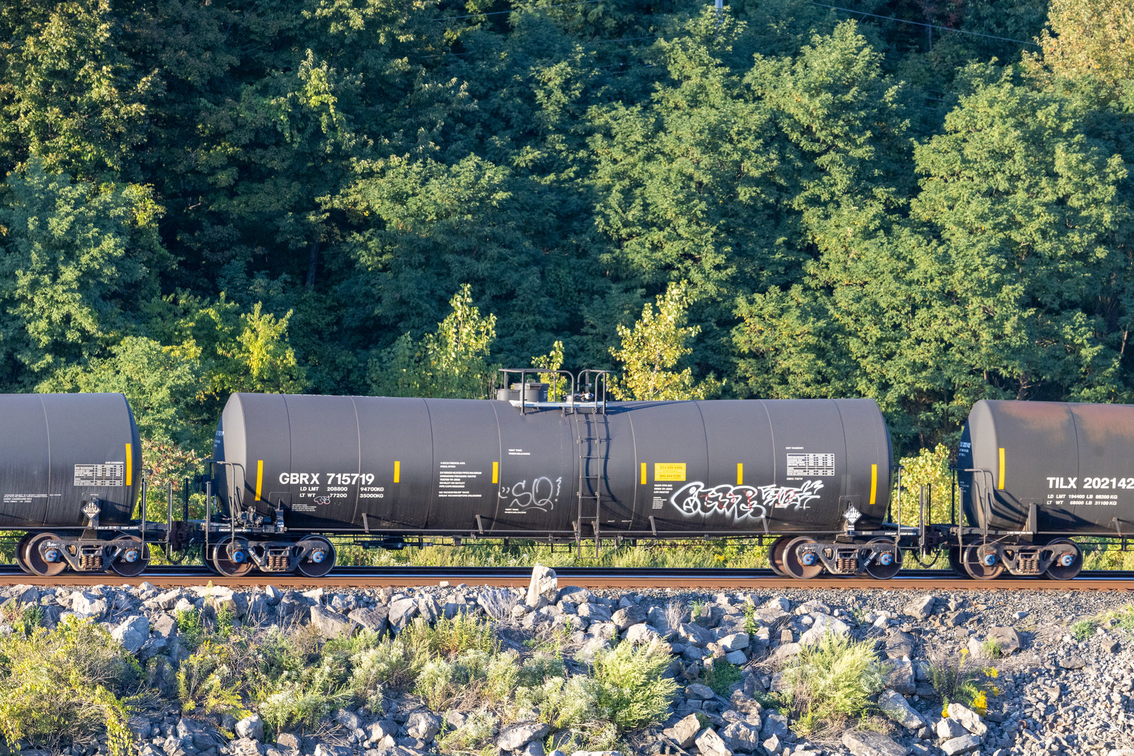 GBRX 715719