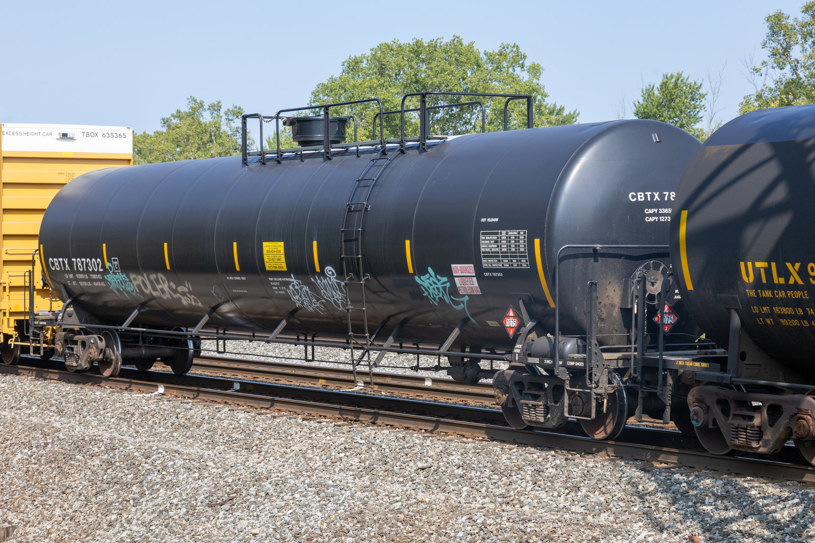 CBTX 787302
