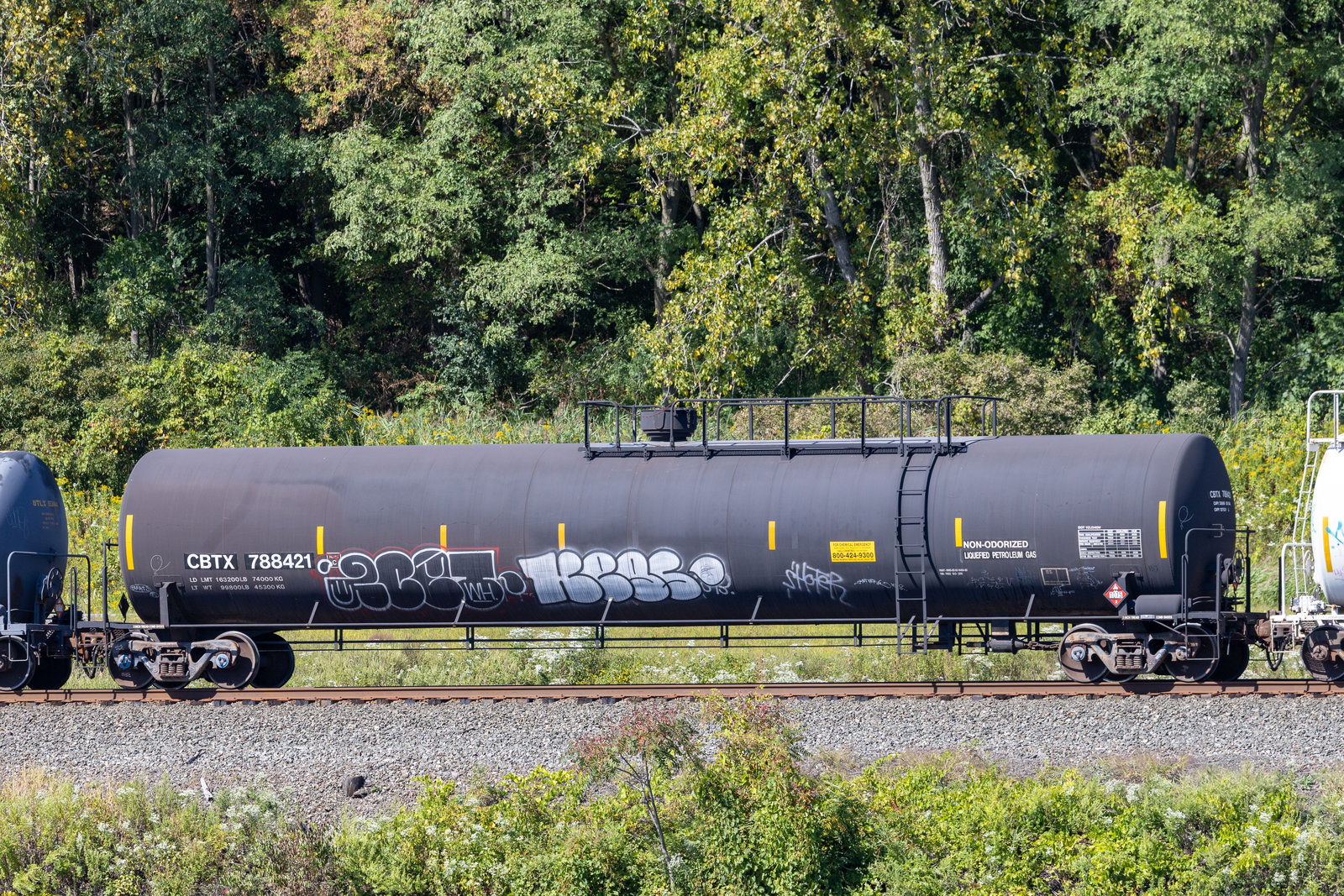 CBTX 788421