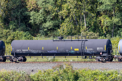CBTX 788333