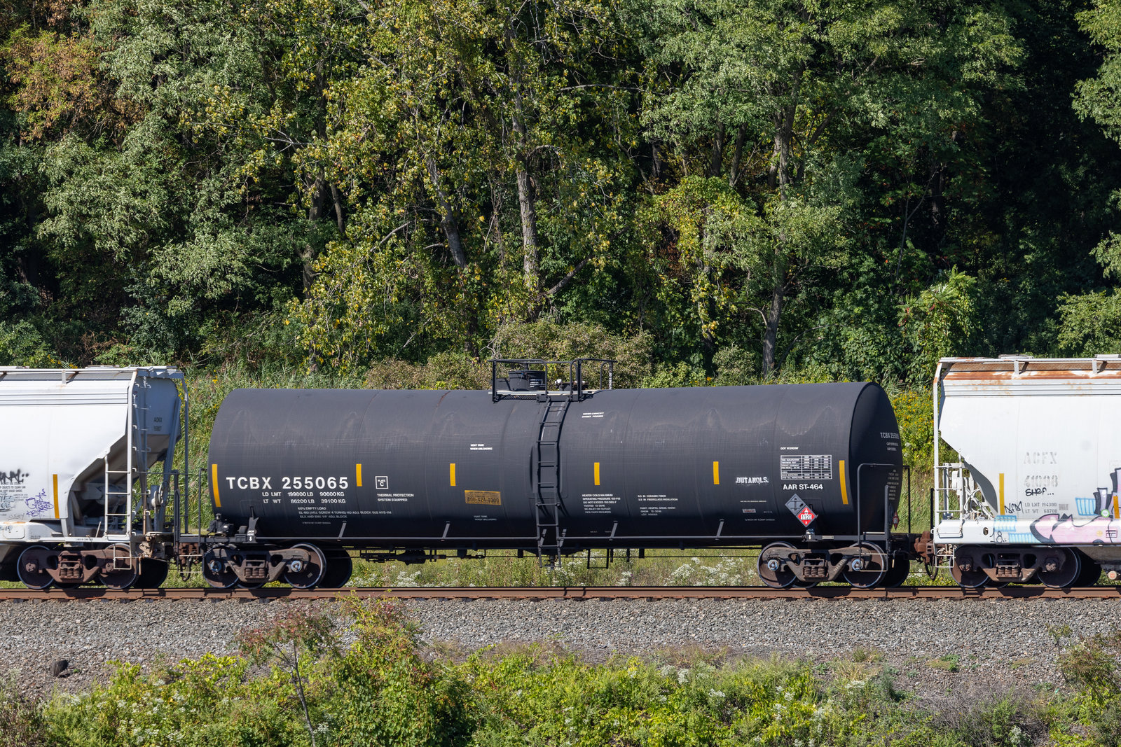 TCBX 255065