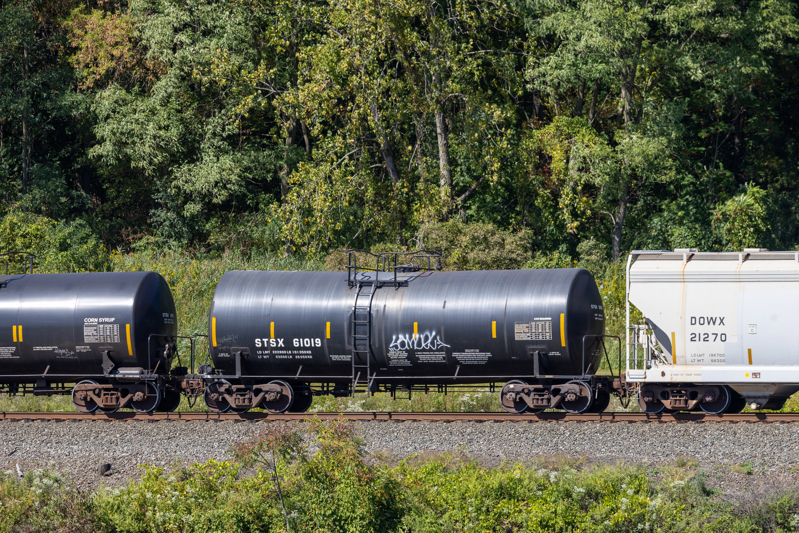 STSX 61019
