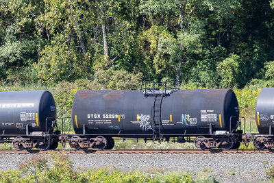 STSX 52299