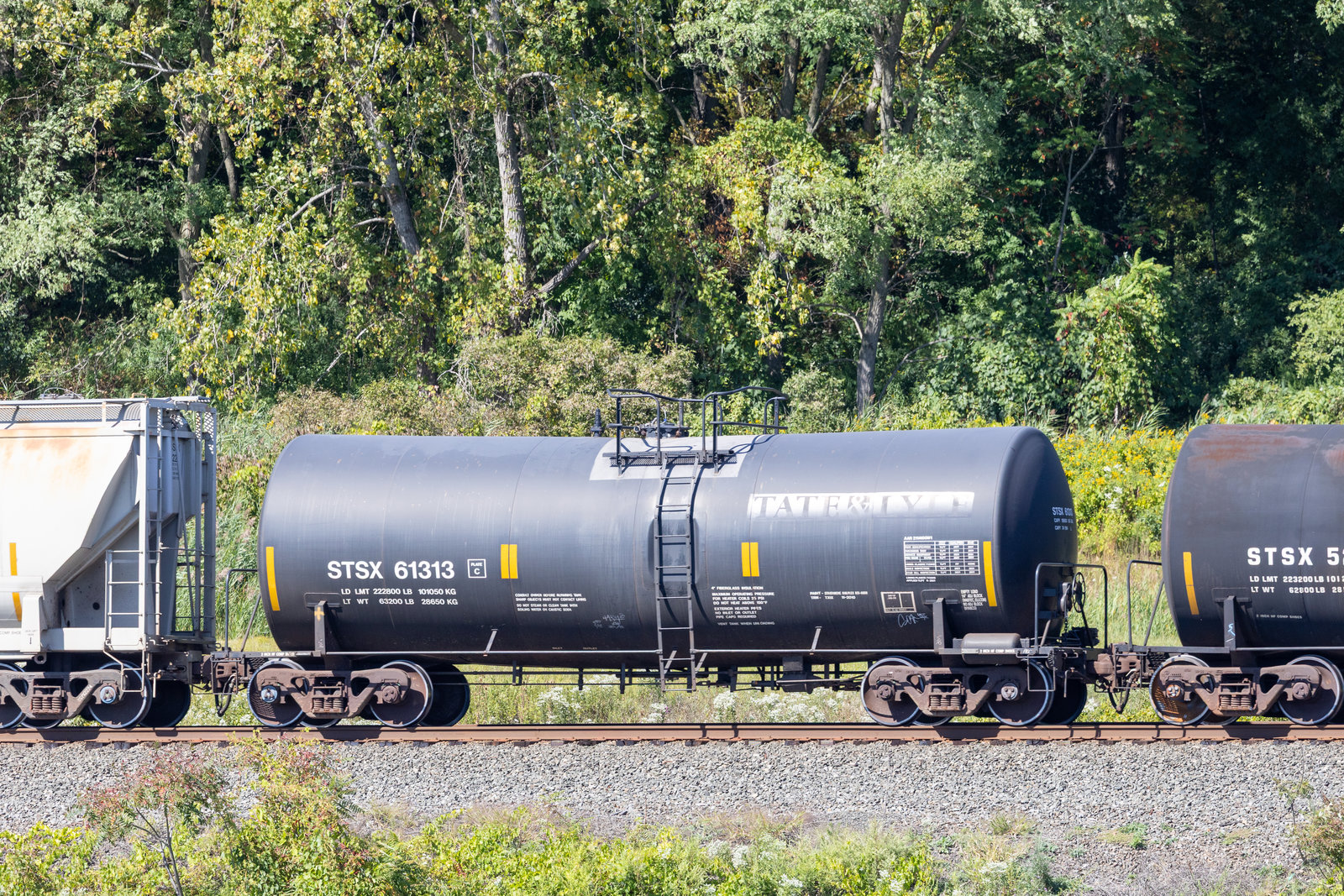 STSX 61313