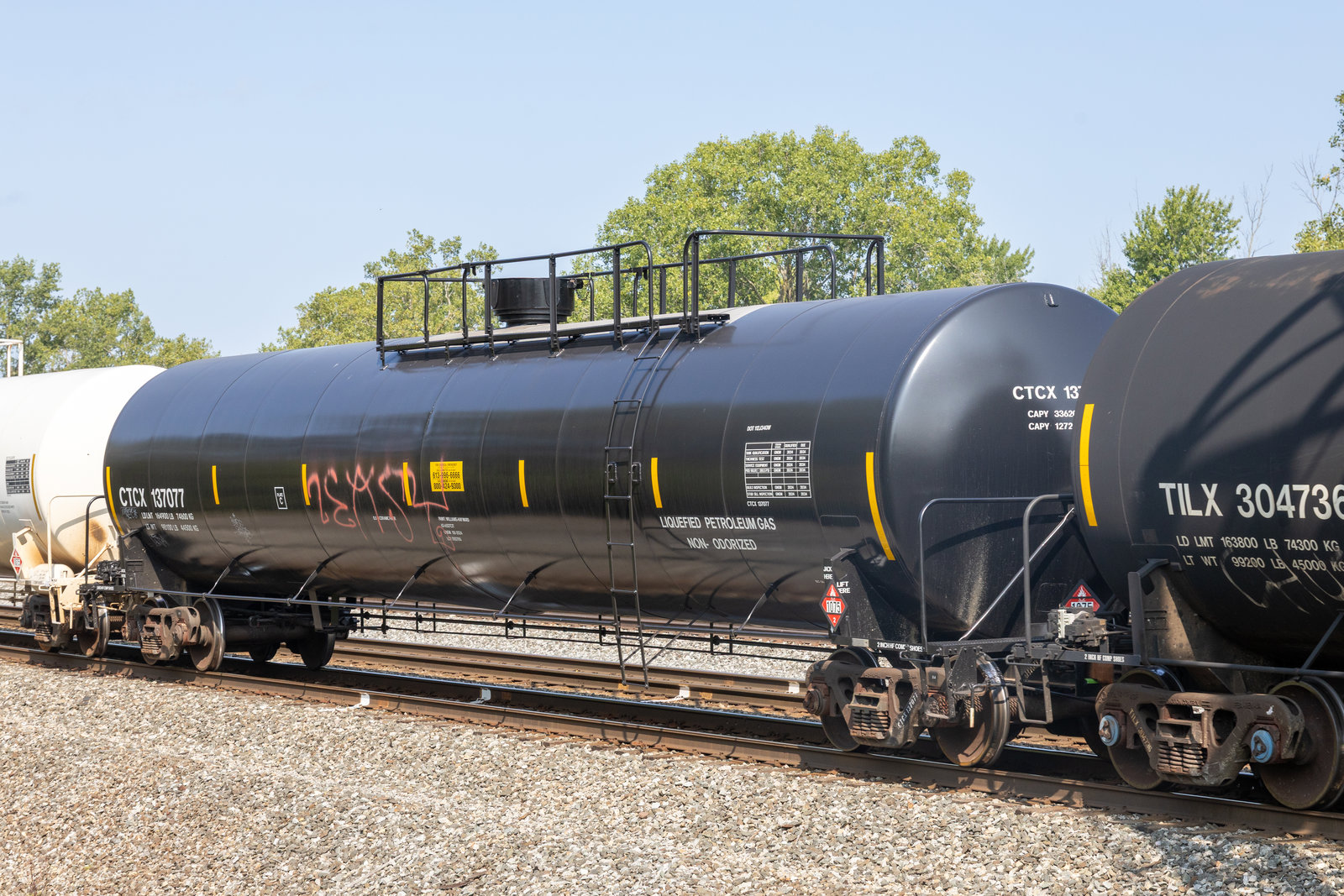 CTCX 137077