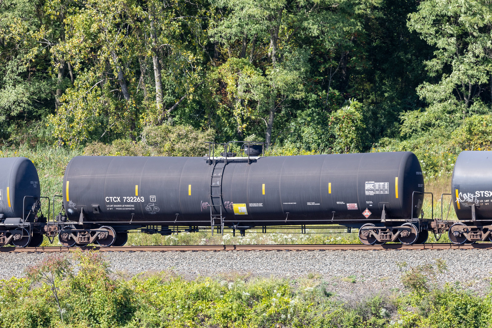 CTCX 732263
