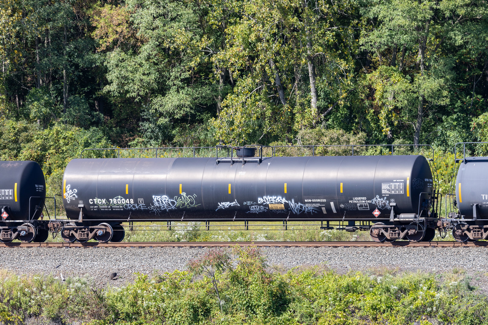 CTCX 780048