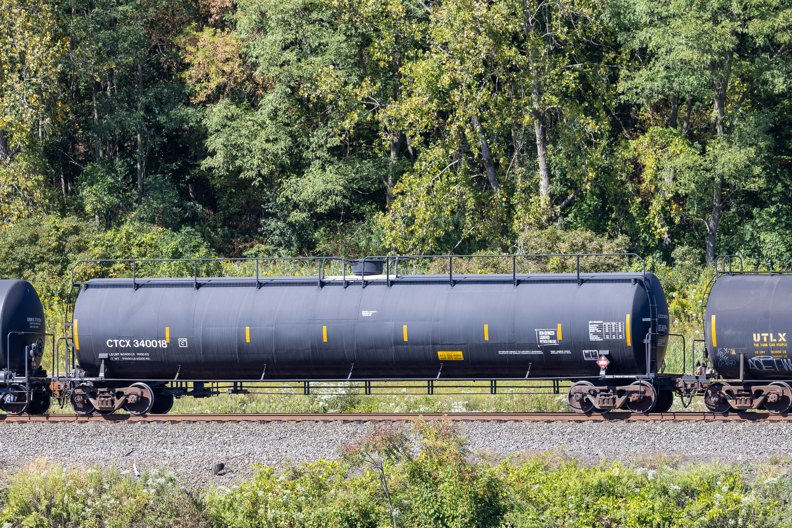 CTCX 340018