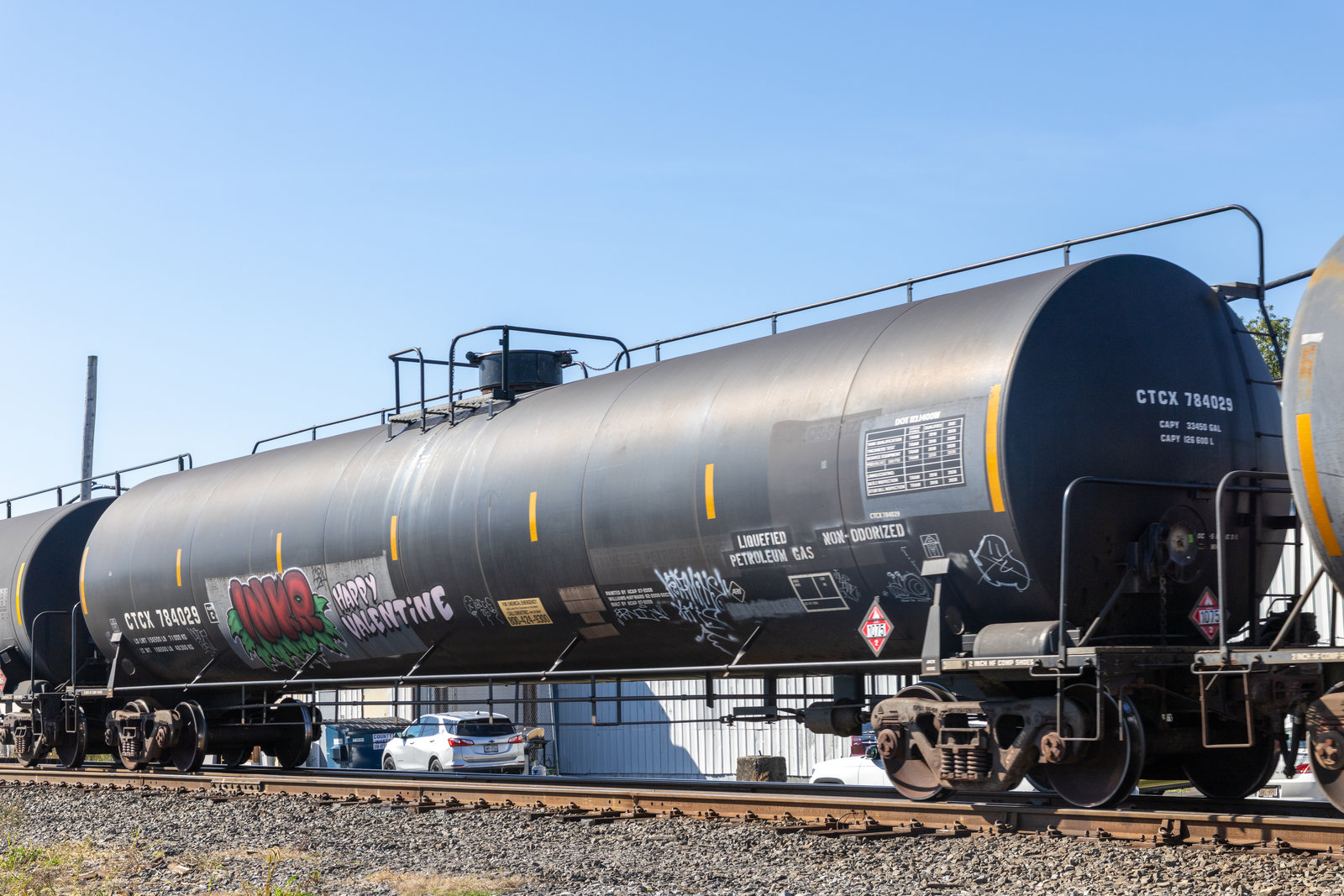 CTCX 784029