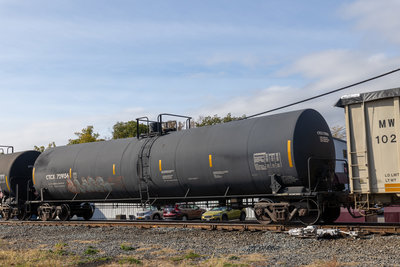 CTCX 729156