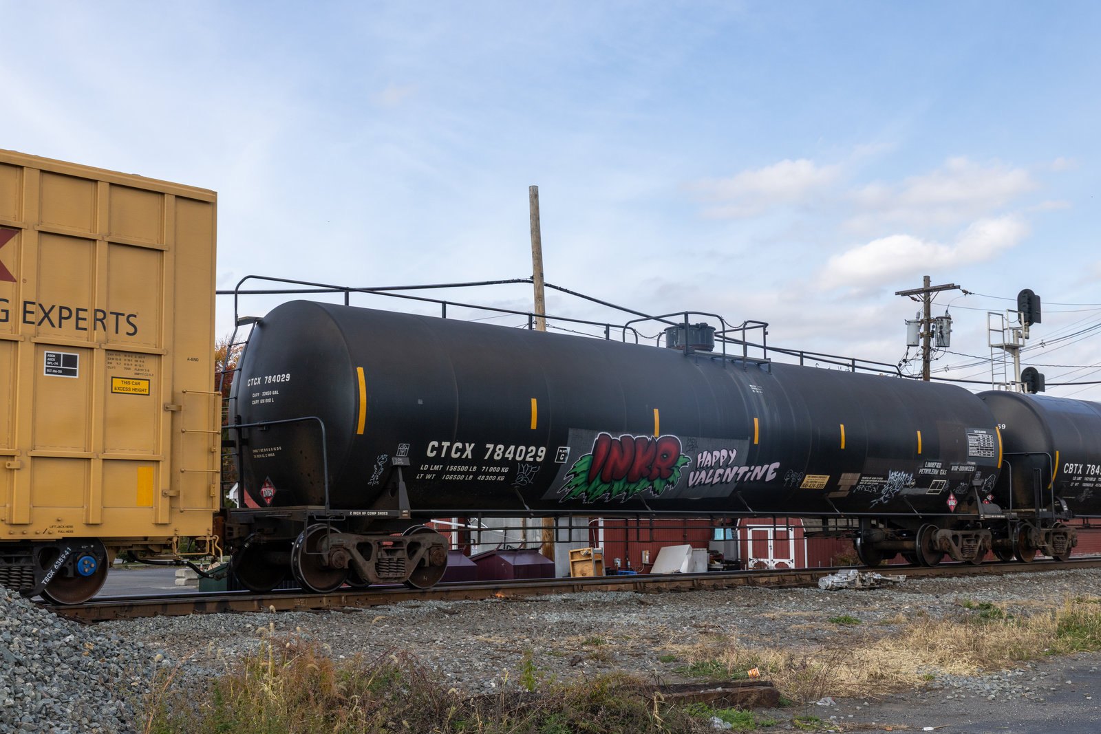 CTCX 784029