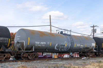 TEIX 25079