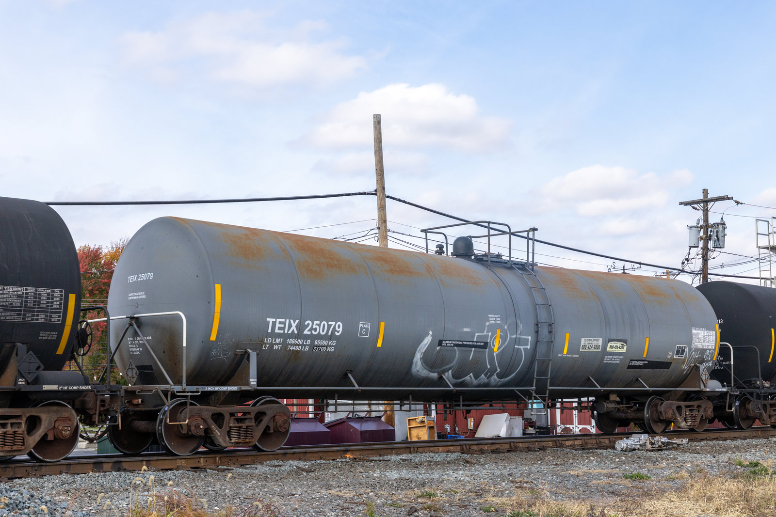 TEIX 25079