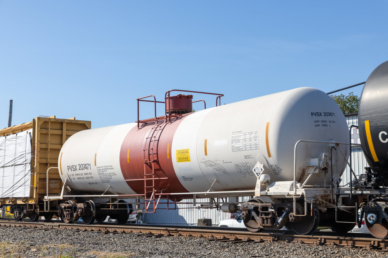 PVSX 207471