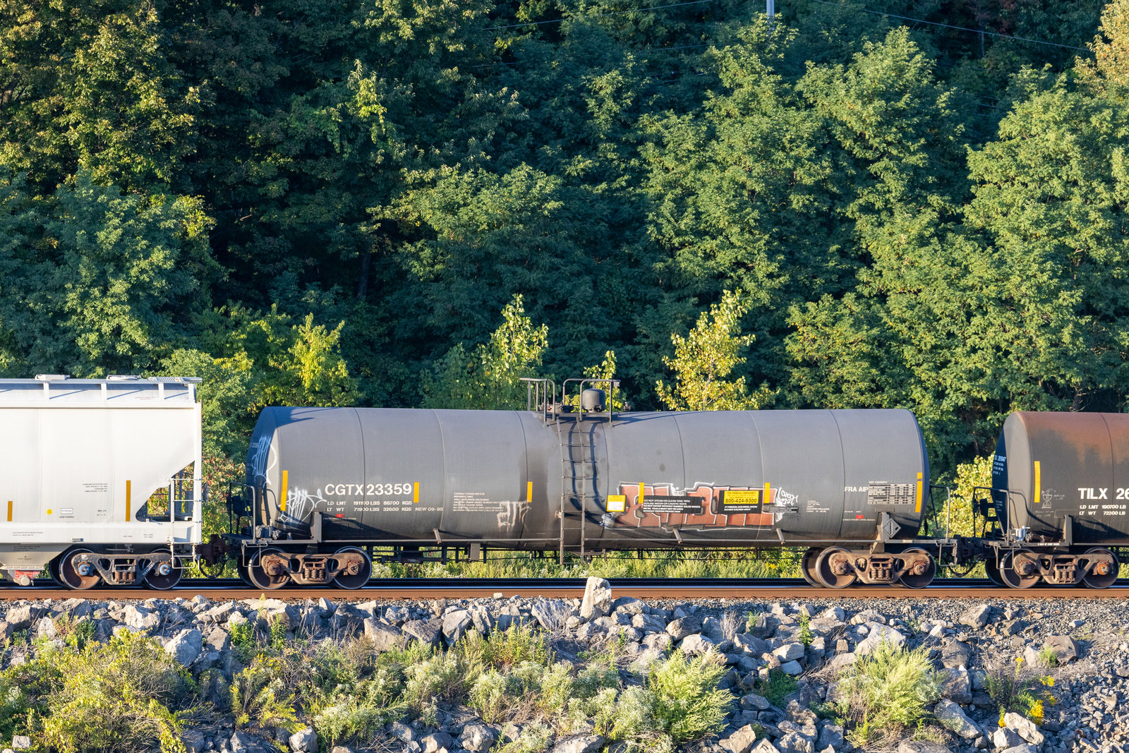CGTX 23359