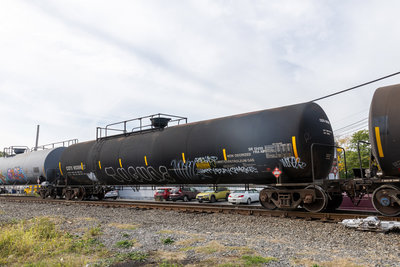 CGTX 65356