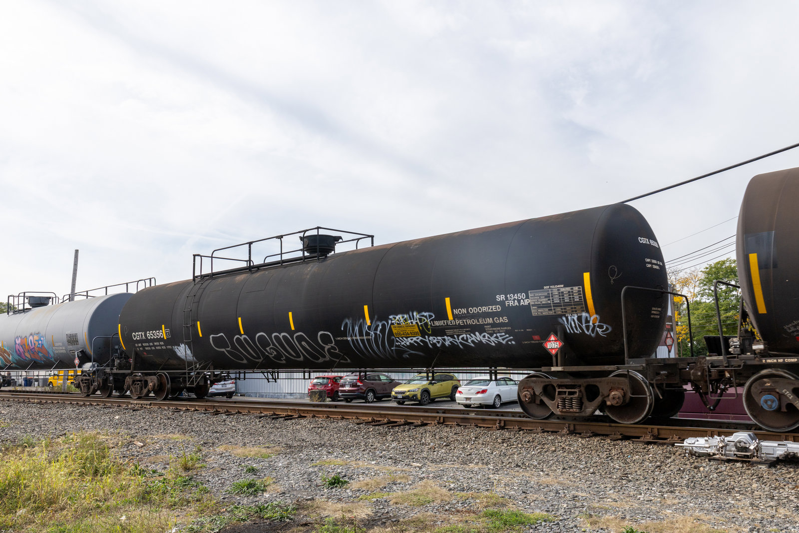 CGTX 65356