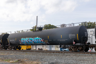 PLMX 135141
