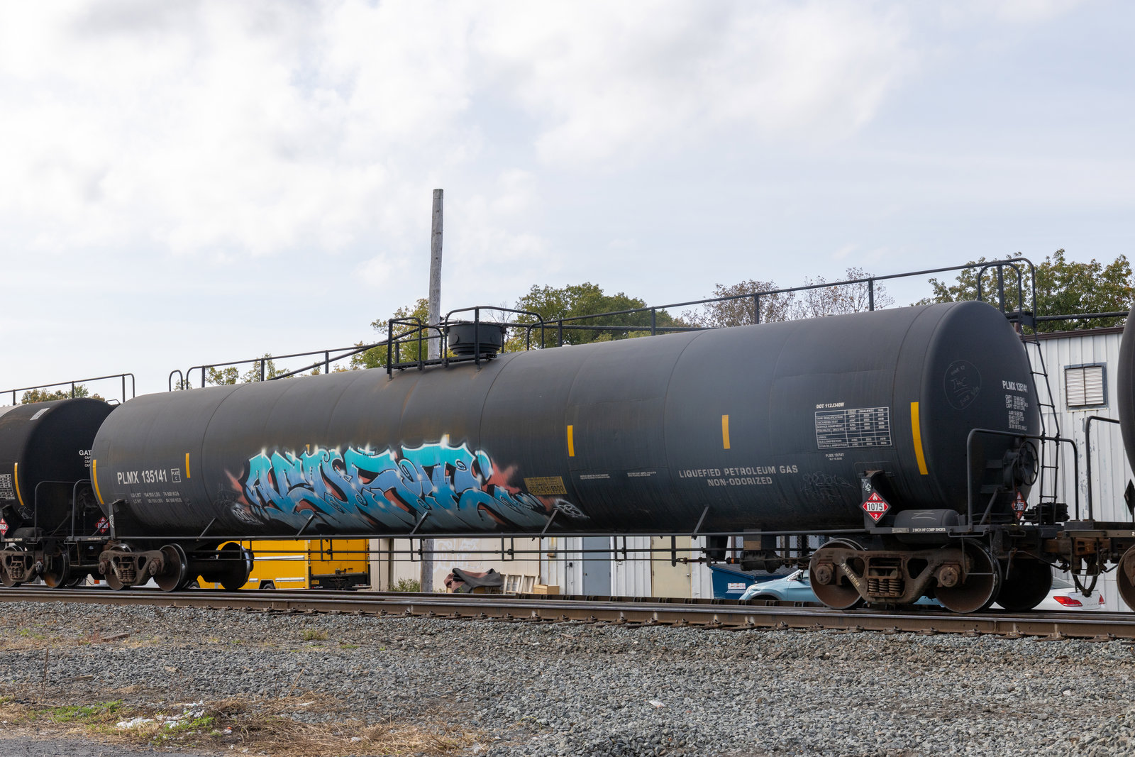 PLMX 135141