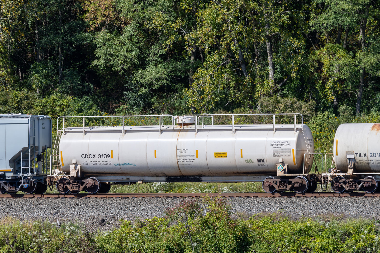 CDCX 3109