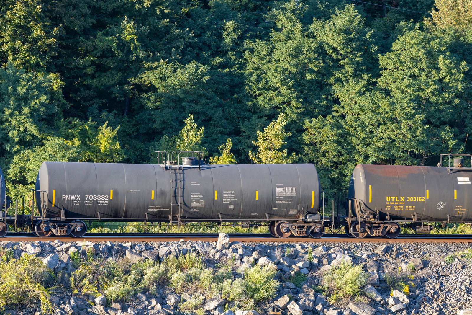 PNWX 703382