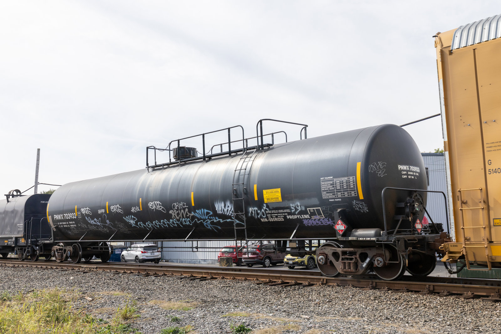 PNWX 703933