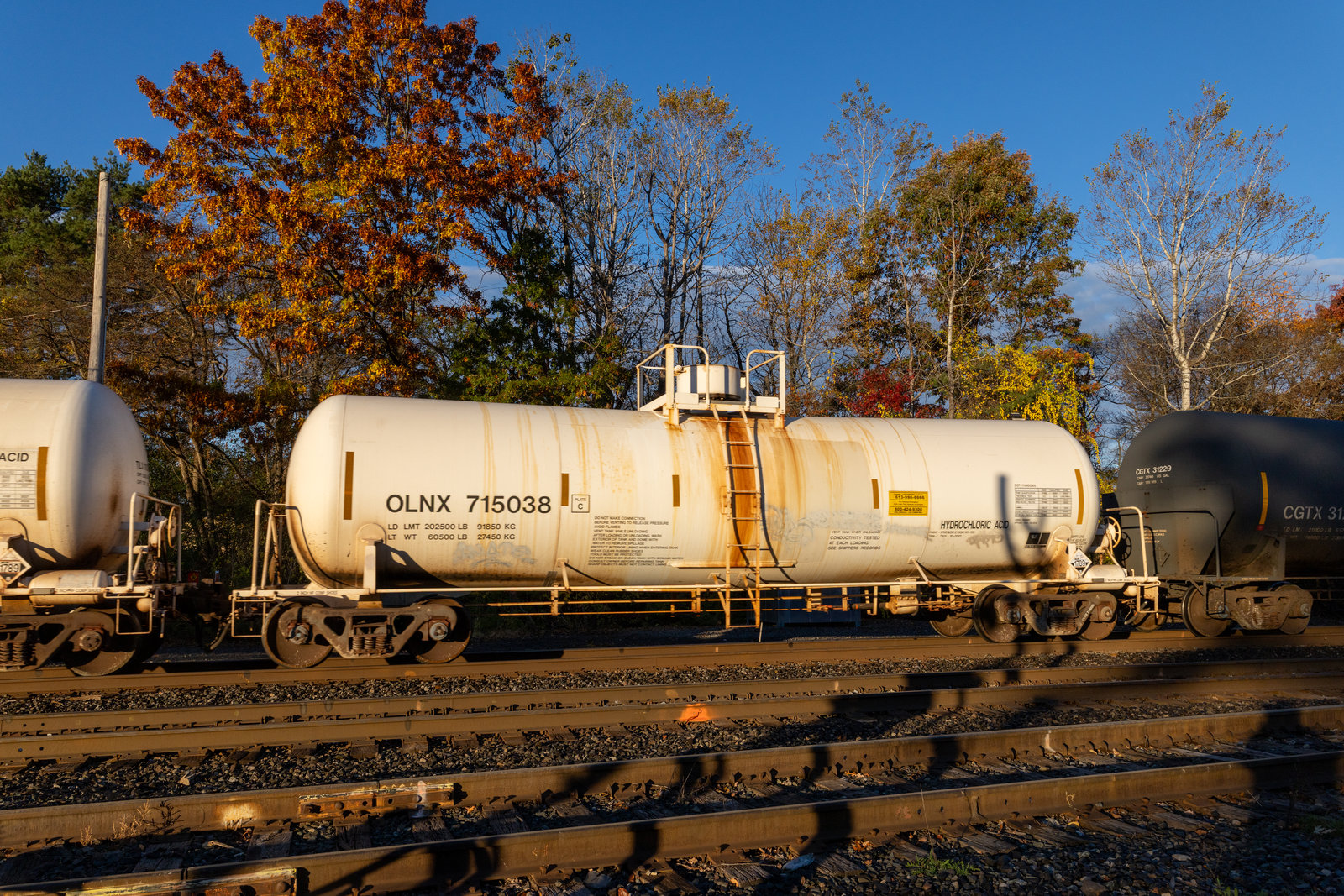 OLNX 715038