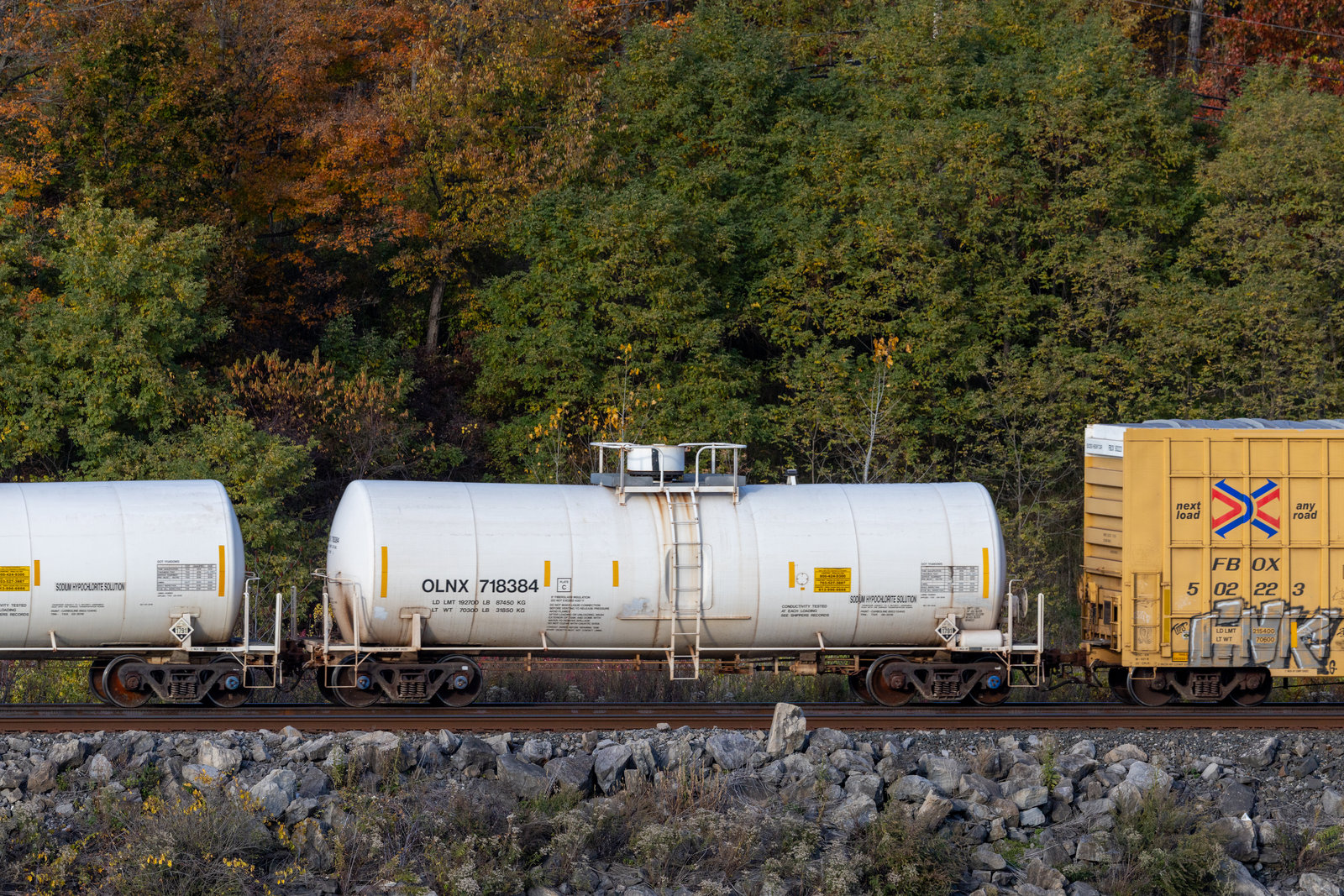 OLNX 718384